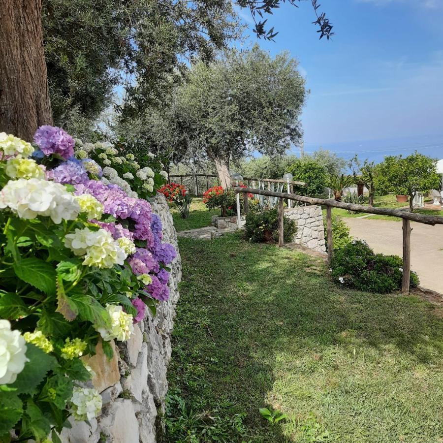 Villa Raf Vico Equense Exterior foto