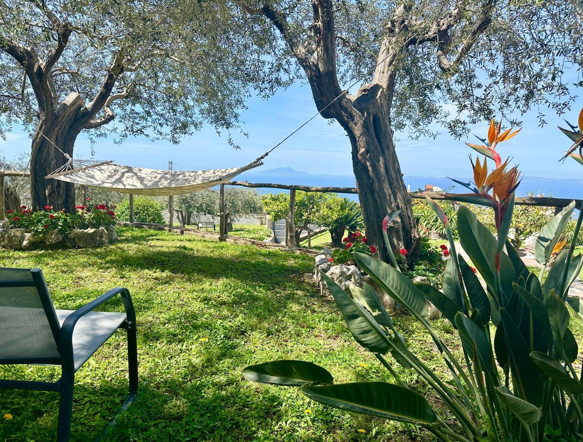 Villa Raf Vico Equense Exterior foto